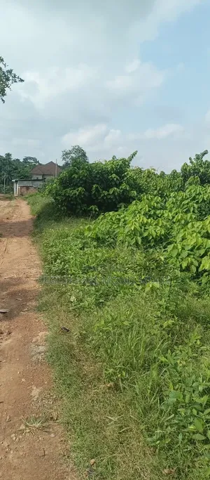 Land for Sale at Ile Ola Arulogun Road Ojoo Ibadan