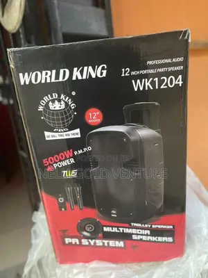 Professional Audio Portable Speaker