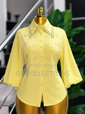 Luxury Classic Beautiful Blouses for Women