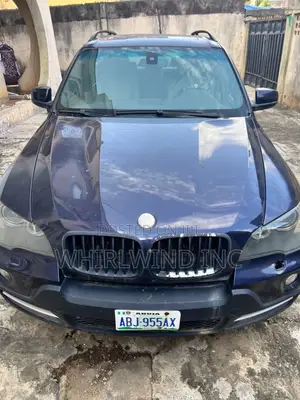 BMW X5 4.8i 2007 Blue
