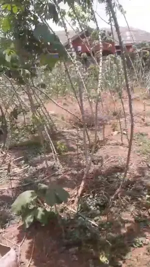 Half Plot of Land at Abule Odu