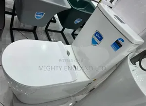 Ideal Water Closet White Ceramic Design With a Dual-Flush Mechanism