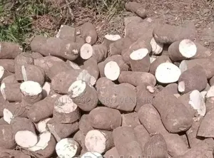Hybrid Yam Treated