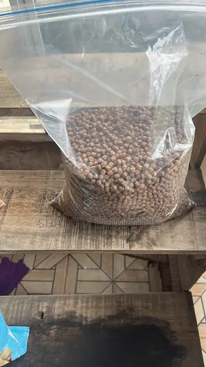 Premium Dog Food for Happy, Healthy Pets