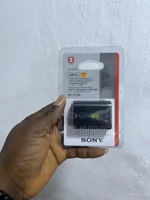 Np Fz100 Battery