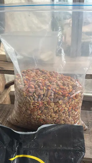 Premium Dog Food for Happy, Healthy Pets