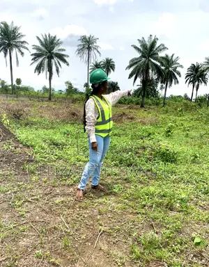 Secure Estate Land With Verified Documents - Port Harcourt