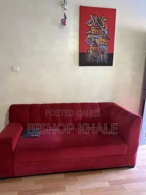 Red Couch and More