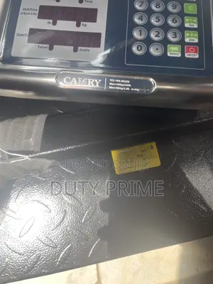 Camry (Model TCS-100-Je62zb) Digital Platform Scale