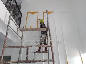 Professional Painter