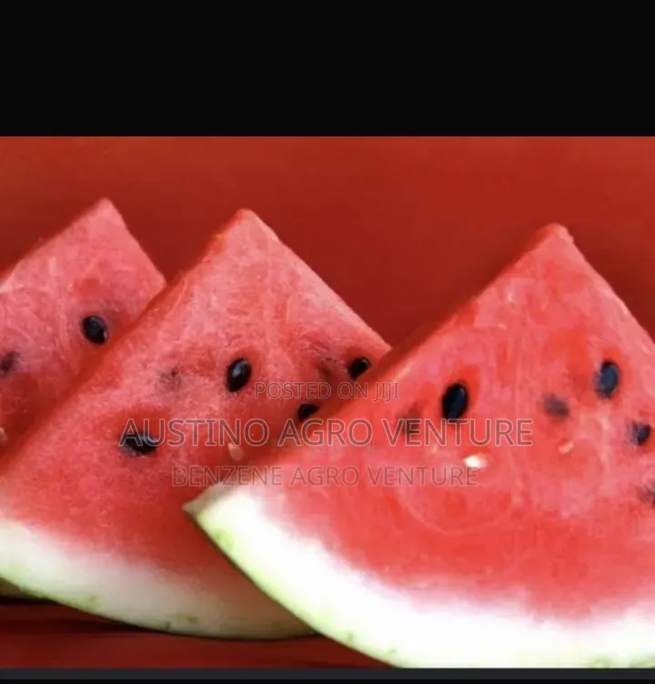 Watermelon Seed
