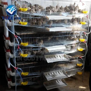 6 Tiers 360 Quail Cage With Feeder Drinker Manure