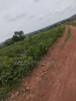 400 Acres of Farmland Available at Adekola, Ado Awaye, Iseyin Lg
