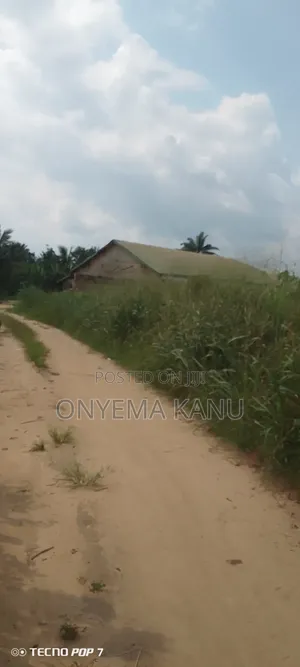 41 Plots Awaiting a Prompt Buyer.
