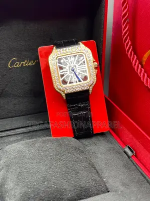 Cartier Santos Skeleton Face Stud Case Genuine Leather Watch