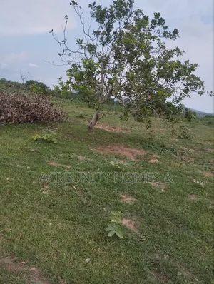 2000 Acres of Fertile Farmland Available at Olodo Anigbado, Abeokuta