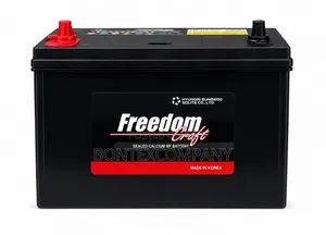 Freedom 105ahs Battery