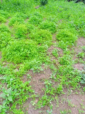 7,000sqm Commercial Land at Katampe Main