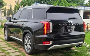 Hyundai Palisade 2020 Black