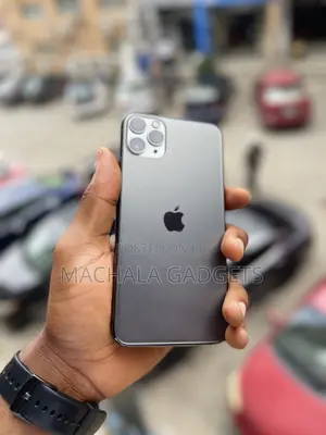 Apple iPhone 11 Pro Max 64 GB Gray