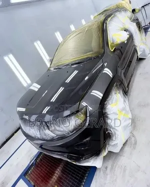 Car Auto Spray