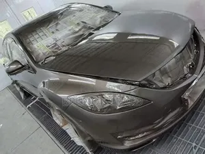 Car Auto Spray