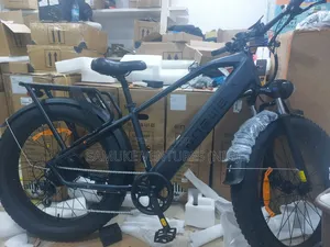 Electric Bicycle