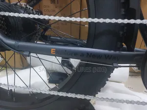 Electric Bicycle