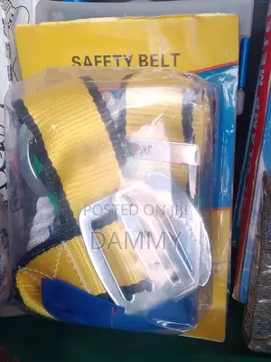 Safety Belt