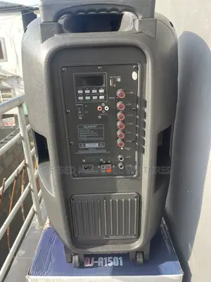 Party Speaker