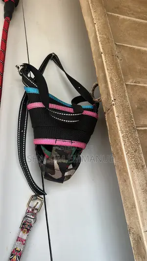 Safe Dog Muzzle for Training Walks