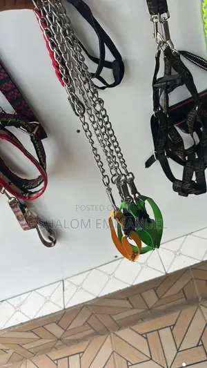 Comfortable Dog Leash for Daily Walks