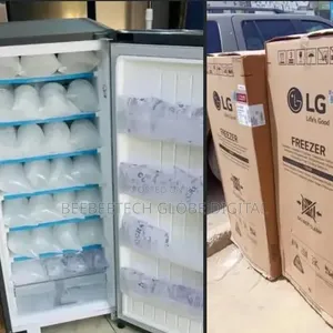 Lg Ice Block Freezer