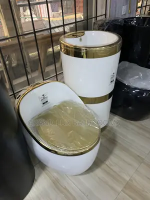 Luxury White Gold Water Closet and Freestanding Washing Hand Basin