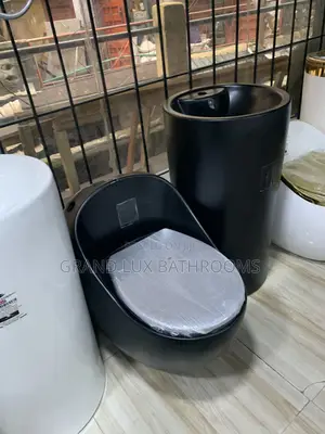 Luxury Matte Black Egg Shape Water Closet With Free Standing Basin