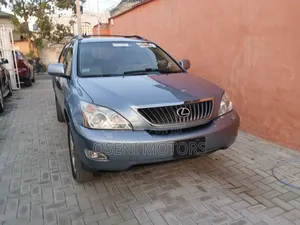 Lexus RX 2009 Gray