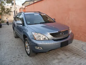 Lexus RX 2009 Gray