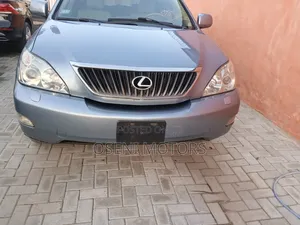 Lexus RX 2009 Gray