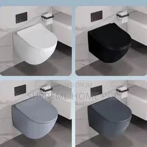 High Quality Wall-Mounted Wc