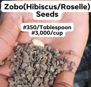 Vegetable Seeds
