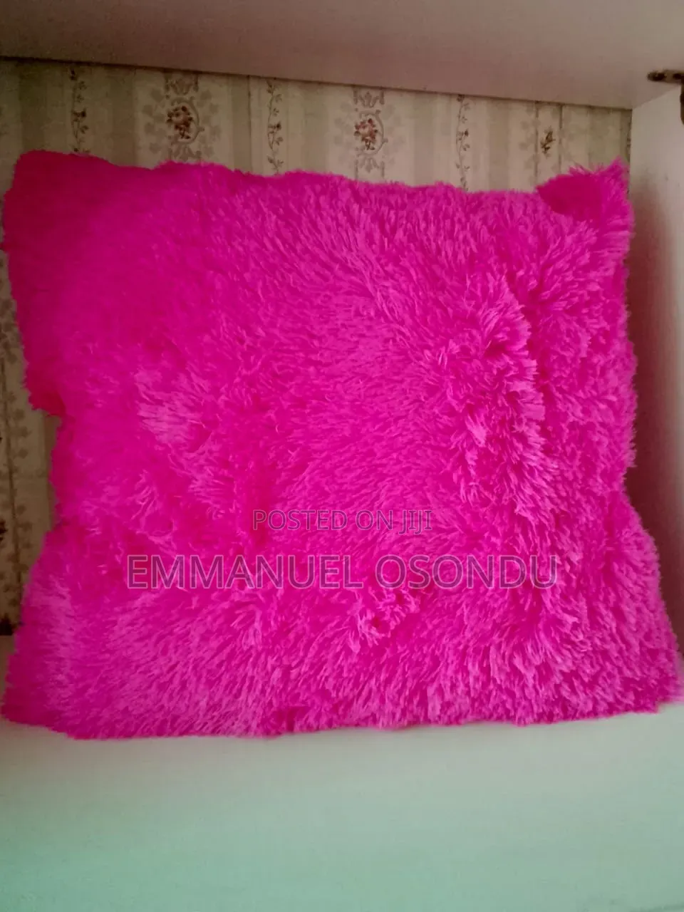 Throw Pillow