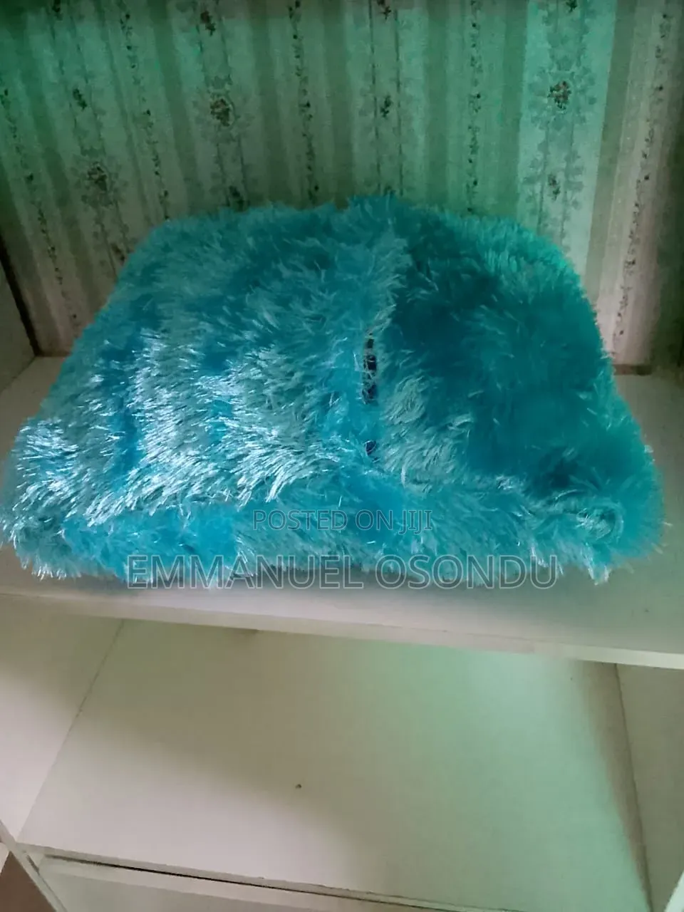 Throw Pillow