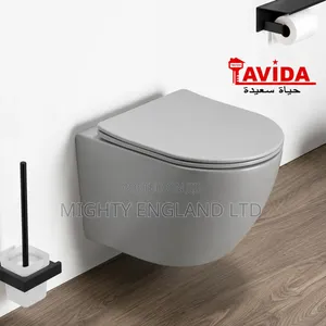 Matte Gray Rimless Wall-Hung Toilet
