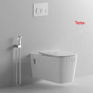 Wall-Hung Toilet White Ceramic Bowl a Concealed Tank System