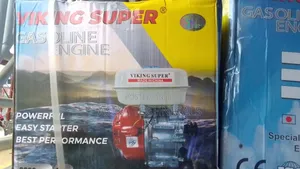 Petrol Engine Gx 200