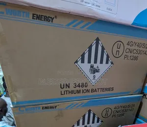 Cworthenergy 2.5kwh 24v Lithium Ion Solar Inverter Batteries in Stock