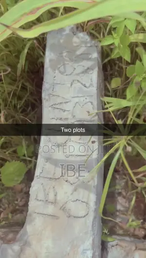Three Plots of Land