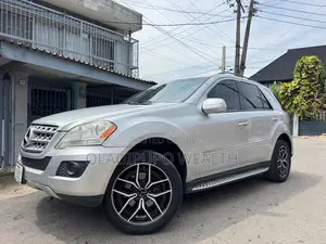 Mercedes-Benz M Class 2010 Silver