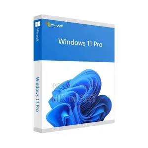 Windows 11 Pro 1pc