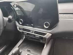 Lexus RX 2024 Gray
